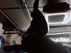 大堂-魔女厨房(明洞店)