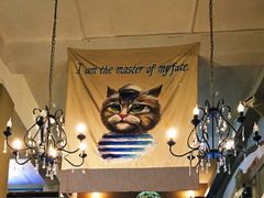 -猫咪博物馆(顶澳仔猫街店)