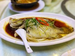 蒸鲈鱼-渔意楼·驰名沙田乳鸽(五羊旗舰店)