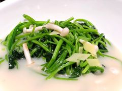 上汤菠菜-唐宫海鲜舫