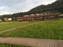 -红山村