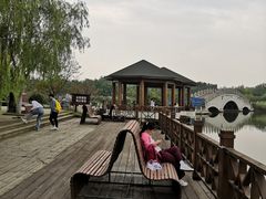-塘沽森林公园