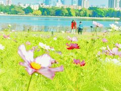-海珠湖公园