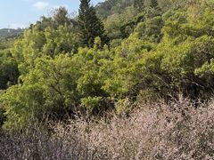 -草庵摩尼教遗址公园