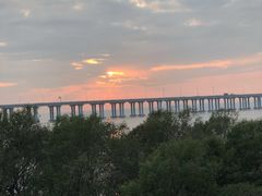 -宝安西湾红树林湿地公园