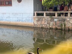 -水绘园