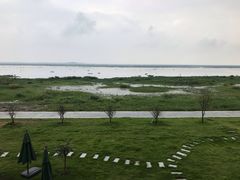 -七的湖·晚芳亭·阳澄湖农家菜·大闸蟹(莲花岛店)