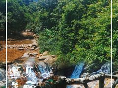 -梧桐山风景名胜区