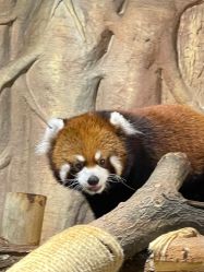 -Zoolung Zoolung动物主题公园(海信广场店)