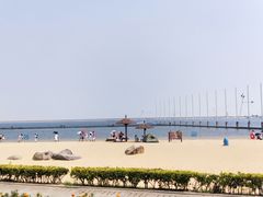 -碧海金沙