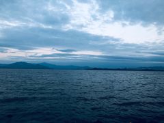 -深圳湾公园(南山区)