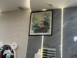 -艺之剪