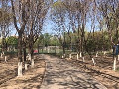 门面-太阳宫足球俱乐部