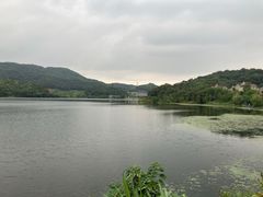 -宁波富邦荪湖山庄(慈城古县城店)