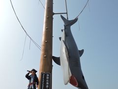 -中华人民共和国水准零点