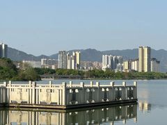 -飞来湖湿地公园