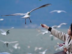 -滇池海埂公园