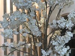 -鹤菊怀石料理(江北店)