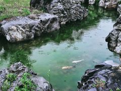 -滴水湖