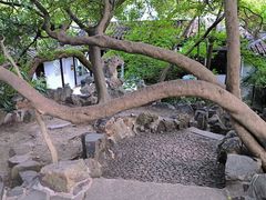 -西园戒幢律寺