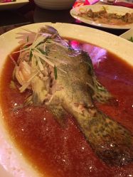 -武汉富力威斯汀酒店·宴会厅