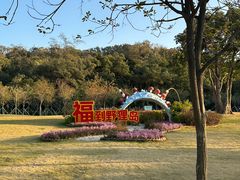 -野狸岛