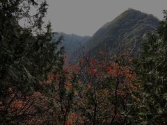 -西安金龙峡风景区