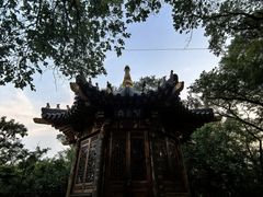 -高尔山公园