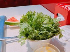 茼蒿-海底捞火锅(龙茗路店)