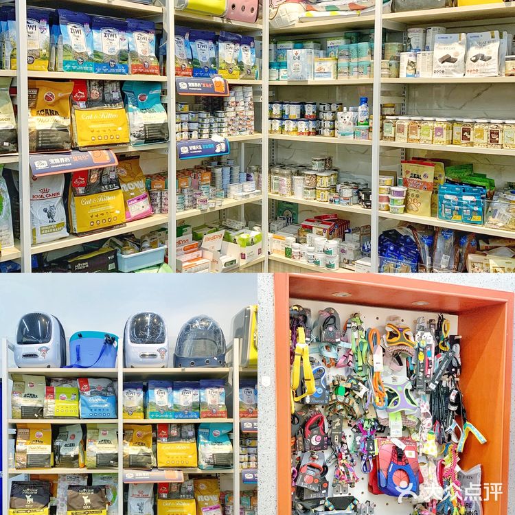 深圳超全宠物店🐱买宠物就去金色世家！