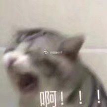 -CoCo都可(医学街店)