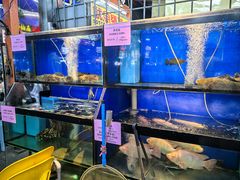 -明记烧鱼美味店