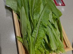 油麦菜-蝎王府羊蝎子(虎坊桥总店)
