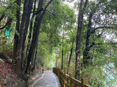 -广州市流溪河国家森林公园