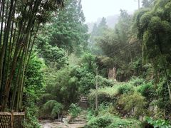 -莫干山风景区