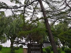 -长春市南湖公园