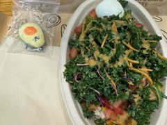 -油梨树 AVOCADO TREE(亮马桥店)