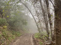 -妙峰山风景名胜区