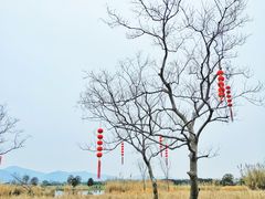 -良渚古城遗址公园