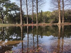 -上海共青森林公园