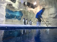 -华夏文旅海洋公园