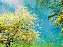 -叠溪松坪沟景区