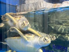 -欢乐海岸海洋奇梦馆