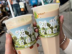 -猫的魔法密林(衣裳街店)