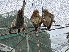 -杭州野生动物世界