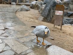 -西安世博园