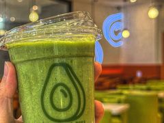 -油梨树 AVOCADO TREE(亮马桥店)