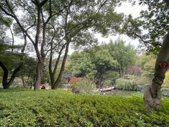 -汇龙潭