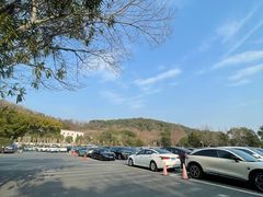 -佘山国家森林公园-1号地面停车场