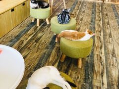 -喵匠猫主题咖啡(凯德和平广场店)